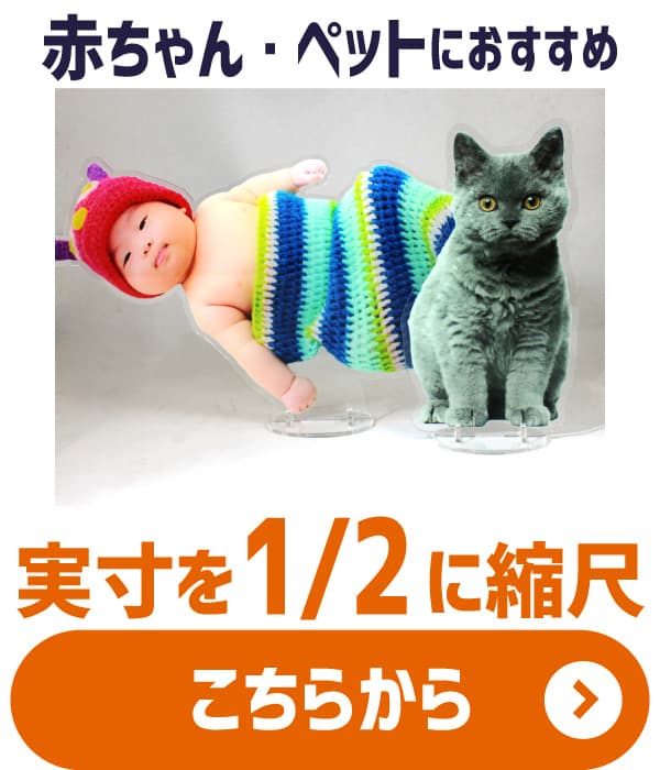 アクスタ 2分の1スケールモデル