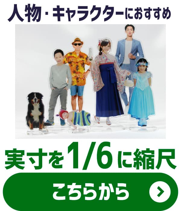 アクスタ 6分の1スケールモデル