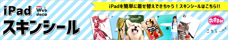 iPadスキンシール