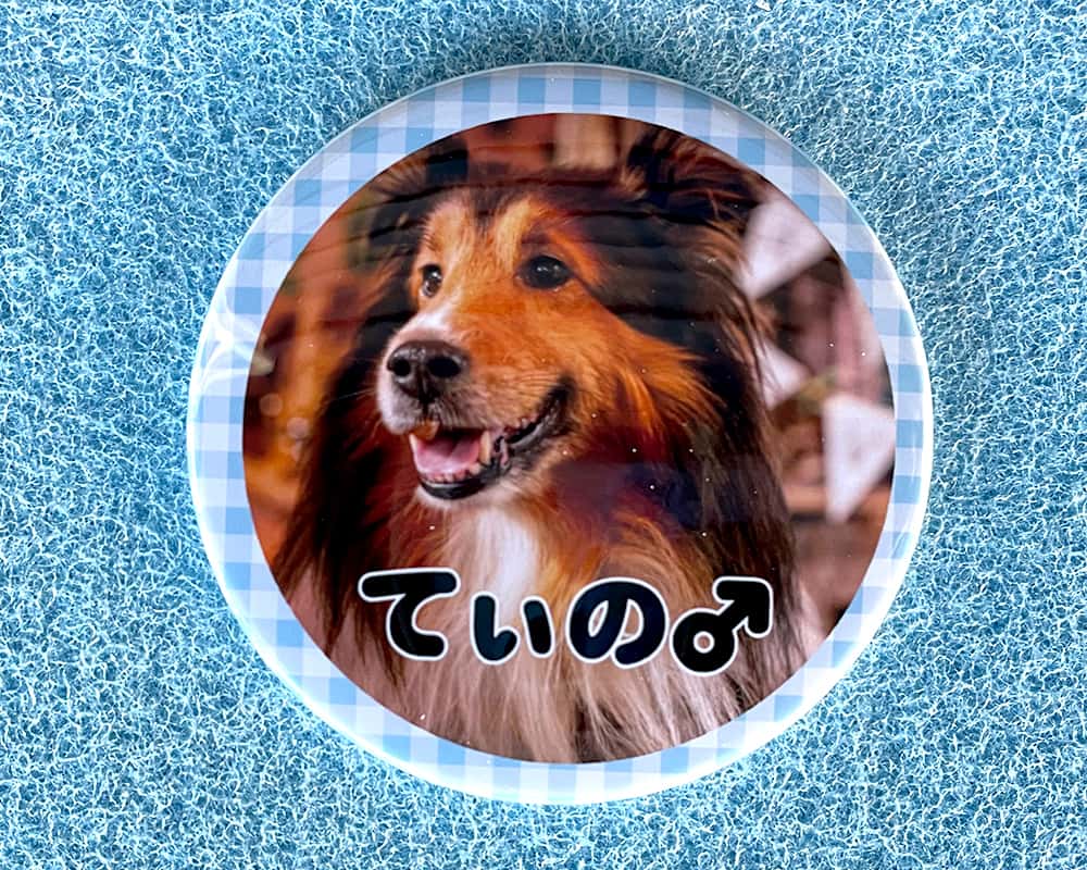 愛犬グッズ 缶バッジ