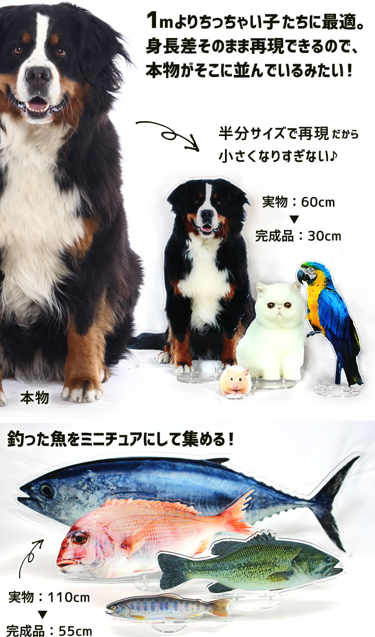 等身大 1/2 パネル