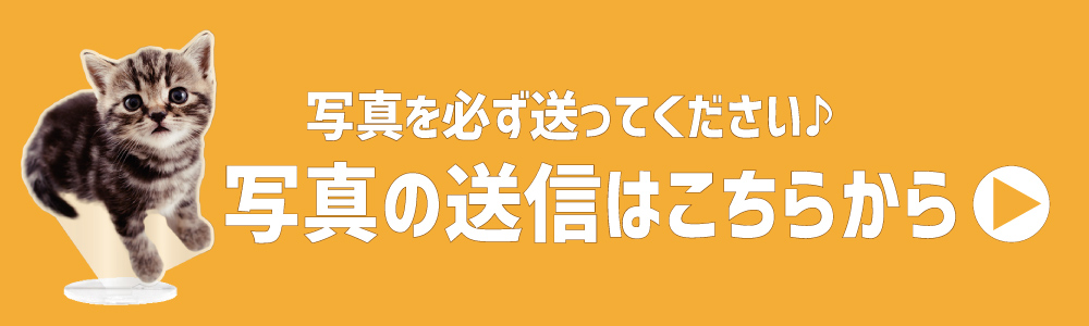 画像送信