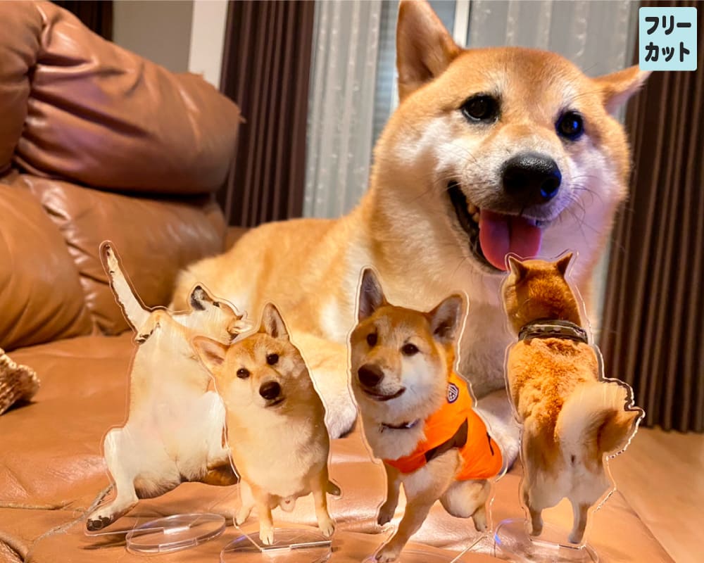 アクスタ【フリーカット】