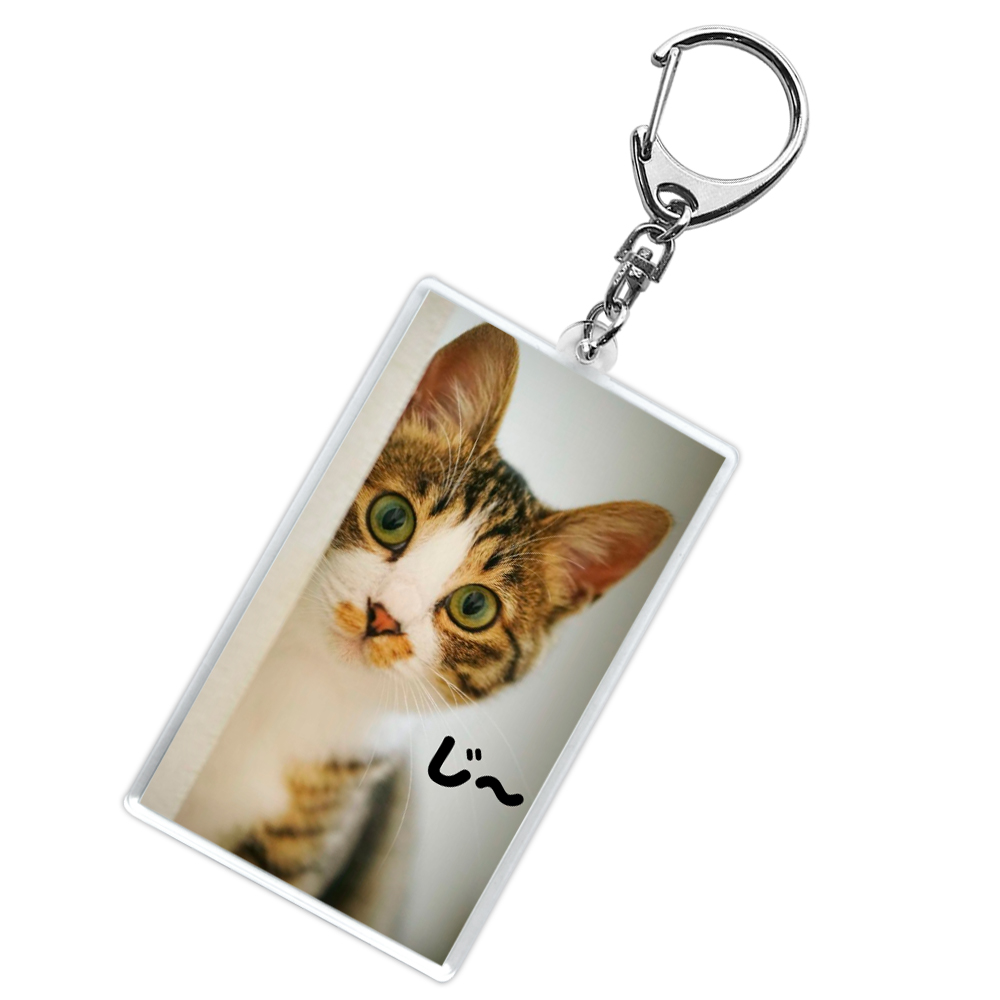 ペットグッズ アクリルキーホルダー