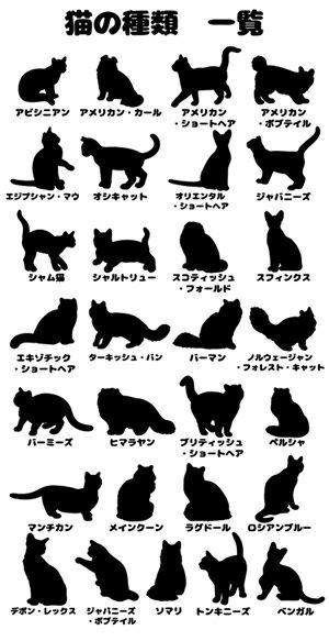 ねこステッカー　種類