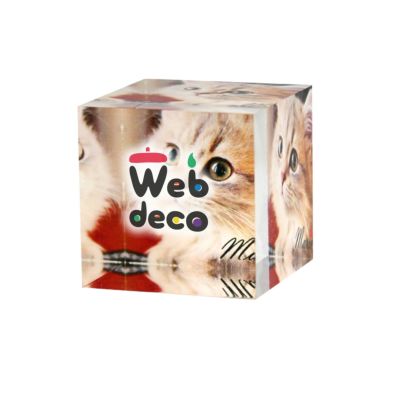 Web deco アクリルブロック 【3×3×3cm】【 2個セット 】 アクリルフォト アクリルキューブ ウェブデコ  母の日 プレゼント 孫 犬 猫 写真 自作 ペットグッズ ◇ID