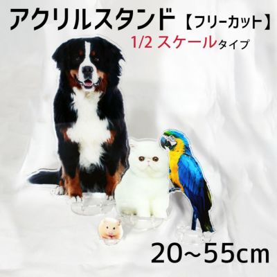 アクリル スタンド 【フリーカット】【1/2スケール】 アクスタ 1個から 写真 自作 プレゼント 卒業 卒園 記念品 ☆ ネコポス不可