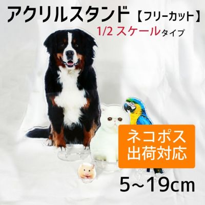 アクリル スタンド 【フリーカット】【1/2スケール】 アクスタ 1個から 写真 自作 プレゼント 卒業 卒園 記念品 ☆ ネコポス可