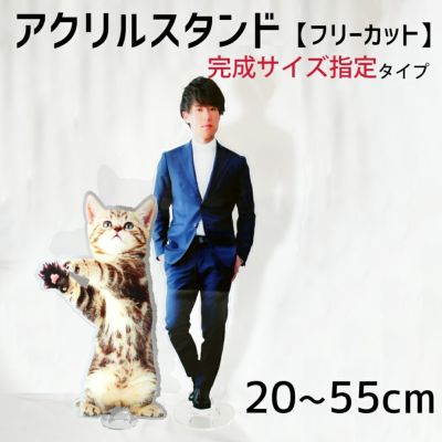 アクリル スタンド 【フリーカット】【完成サイズ指定】 アクスタ 七五三 お祝い 記念 写真 こども プレゼント ギフト 1個から ☆ ネコポス不可