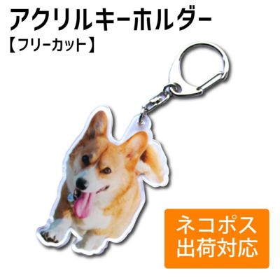 アクリル キーホルダー 【フリーカット】【キーホルダー】 アクキー  1個から 写真 自作 プレゼント ☆