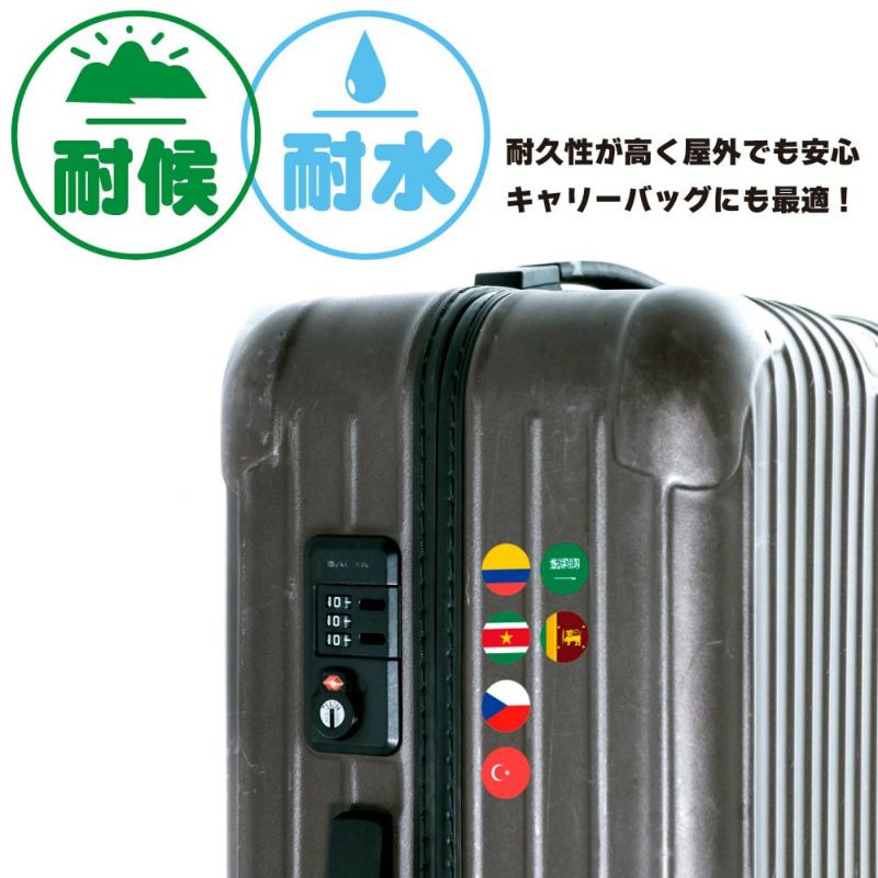 キャリーバック