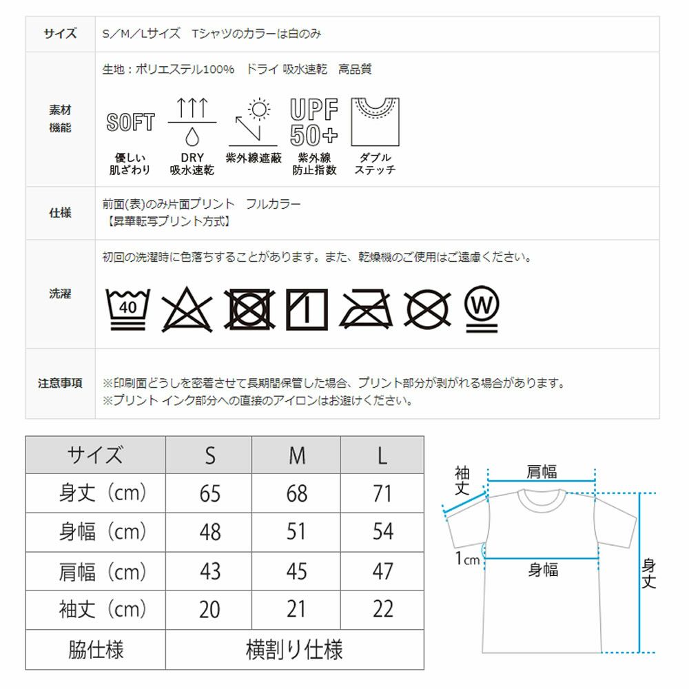 Tシャツ　サイズ