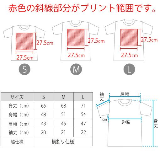 Tシャツ サイズ